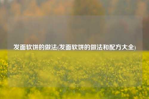 发面软饼的做法(发面软饼的做法和配方大全)