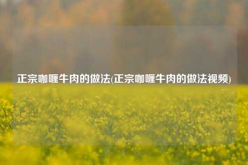 正宗咖喱牛肉的做法(正宗咖喱牛肉的做法视频)