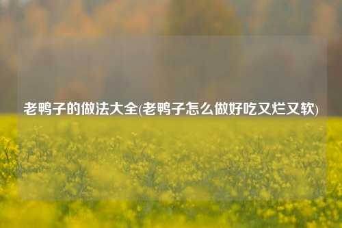 老鸭子的做法大全(老鸭子怎么做好吃又烂又软)