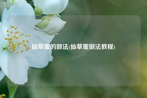 仙草蜜的做法(仙草蜜做法教程)