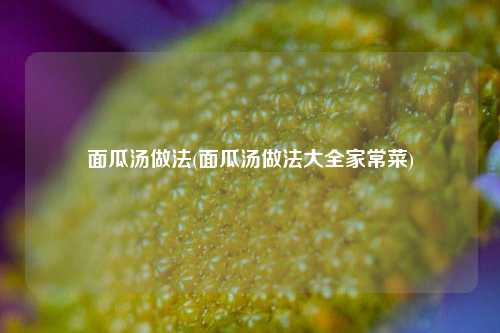 面瓜汤做法(面瓜汤做法大全家常菜)