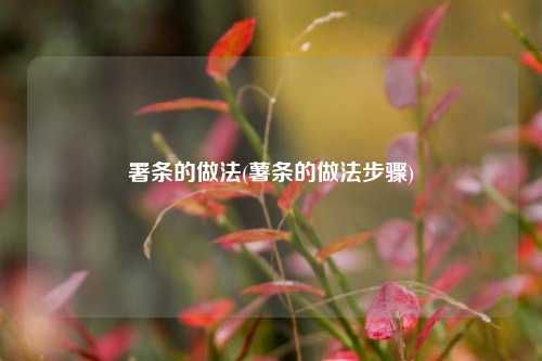 署条的做法(薯条的做法步骤)