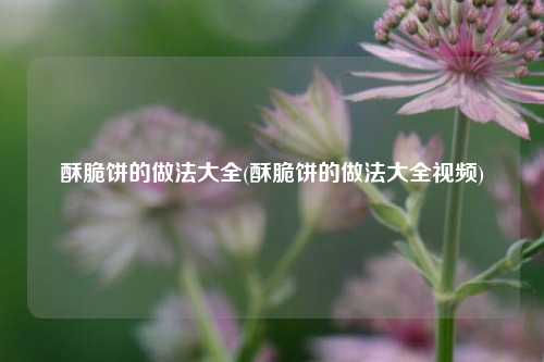酥脆饼的做法大全(酥脆饼的做法大全视频)