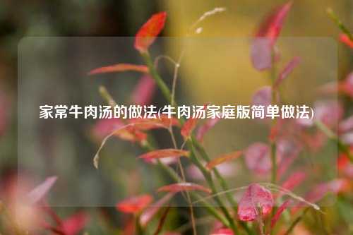 家常牛肉汤的做法(牛肉汤家庭版简单做法)