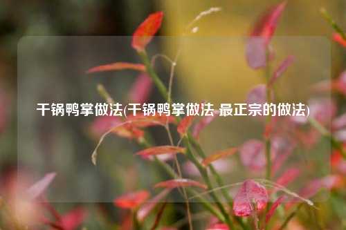 干锅鸭掌做法(干锅鸭掌做法 最正宗的做法)