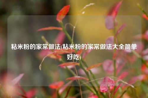 粘米粉的家常做法(粘米粉的家常做法大全简单好吃)