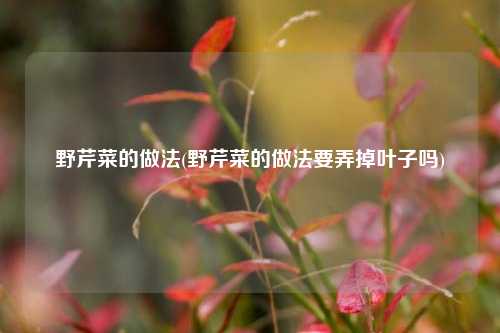 野芹菜的做法(野芹菜的做法要弄掉叶子吗)