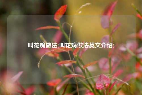 叫花鸡做法(叫花鸡做法英文介绍)