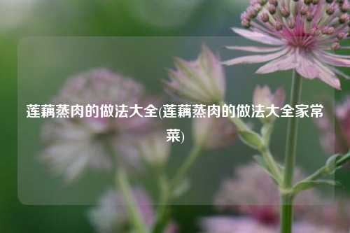 莲藕蒸肉的做法大全(莲藕蒸肉的做法大全家常菜)