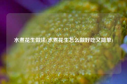 水煮花生做法(水煮花生怎么做好吃又简单)