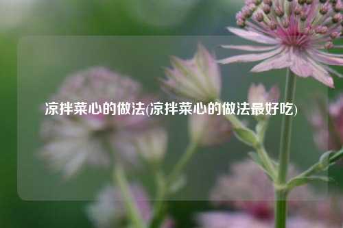 凉拌菜心的做法(凉拌菜心的做法最好吃)