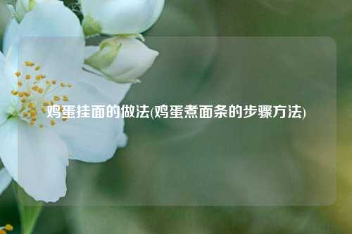 鸡蛋挂面的做法(鸡蛋煮面条的步骤方法)