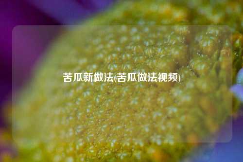 苦瓜新做法(苦瓜做法视频)
